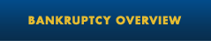 Bankruptcy Overview